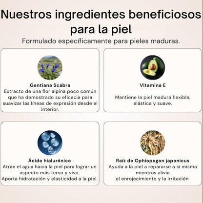 Base Juventud 4 en 1 Natural